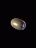 anim240x320_0047.gif